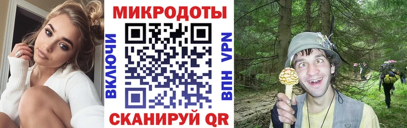 Псилоцибиновые грибы Psilocybine cubensis  Благовещенск 